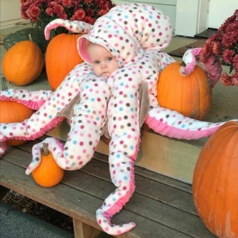 Trick or Treat? That is the question.