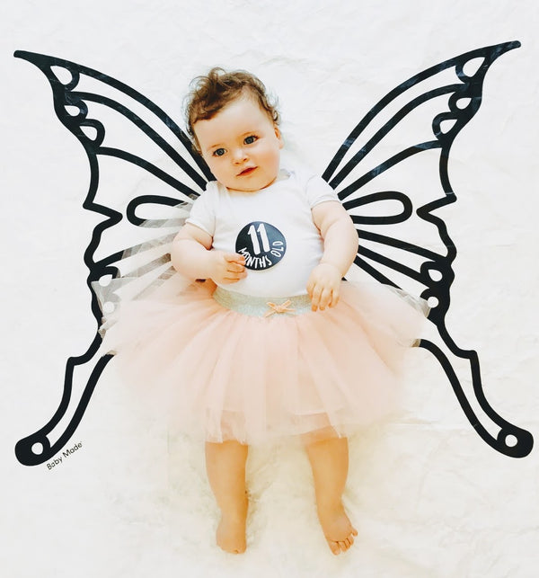 Butterfly Backdrop and Monthly Stickers